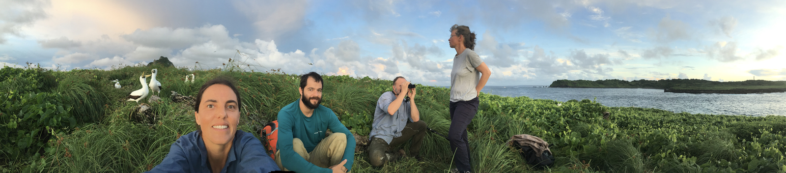 Field activity of the MAFALDA project in Noronha