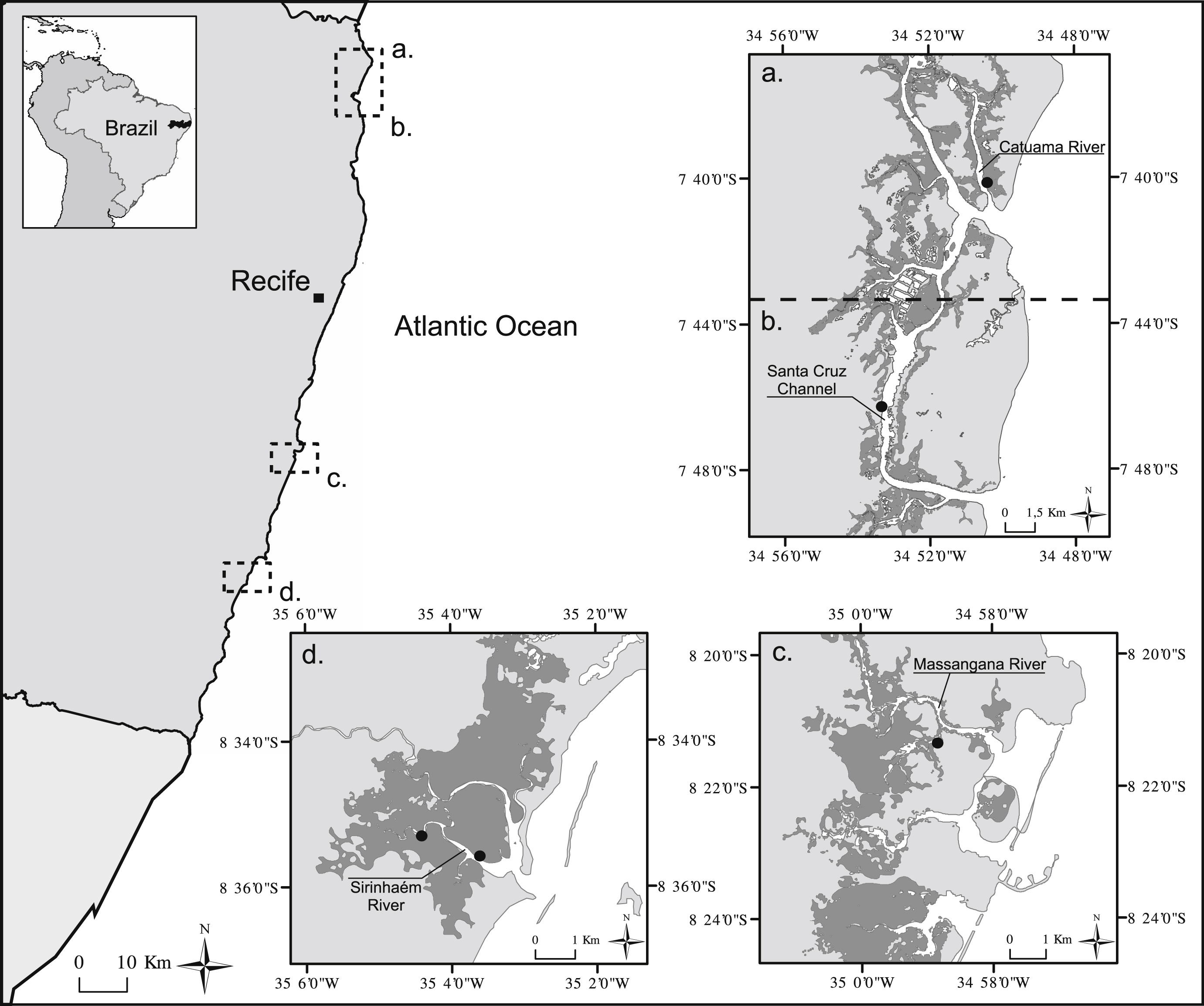 Trophic resource partitioning of two snook fish species (Centropomidae) in tropical estuaries in Brazil as evidenced by stable isotope analysis