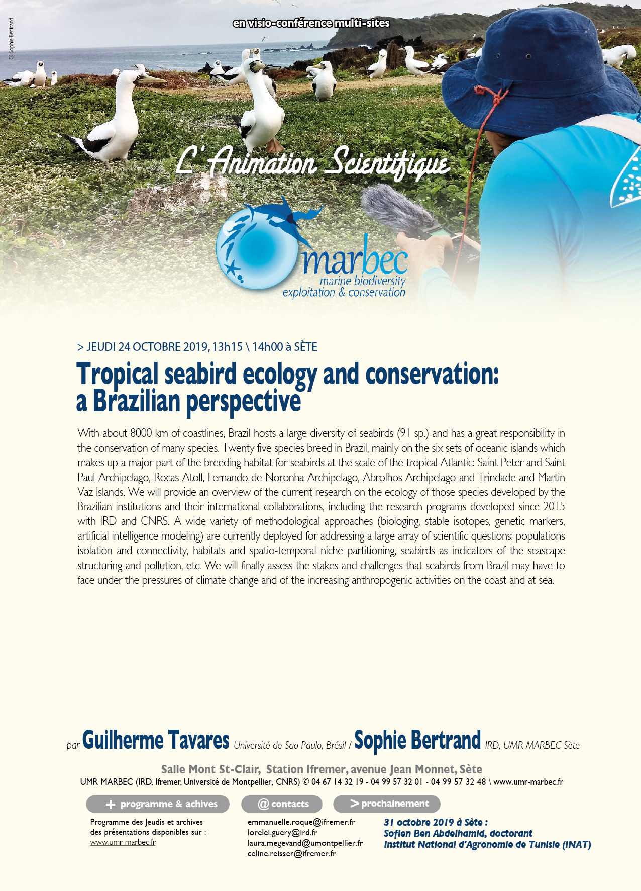 Tropical seabird ecology and conservation: a Brazilian perspective