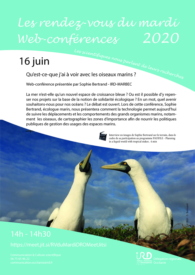 Webconférence de S. Bertrand IRD-MARBEC : Qu’est-ce-que j’ai à voir avec les oiseaux marins ?