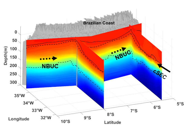 3D characterisation of the thermohaline structure in the southwestern tropical Atlantic derived from functional data analysis of in situ profiles