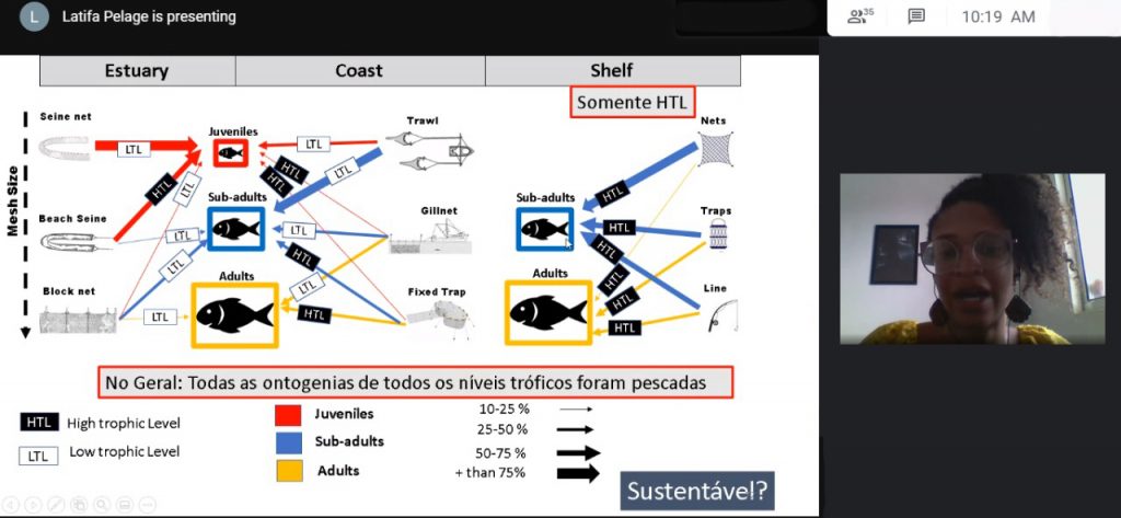 Dissertation meaning image
