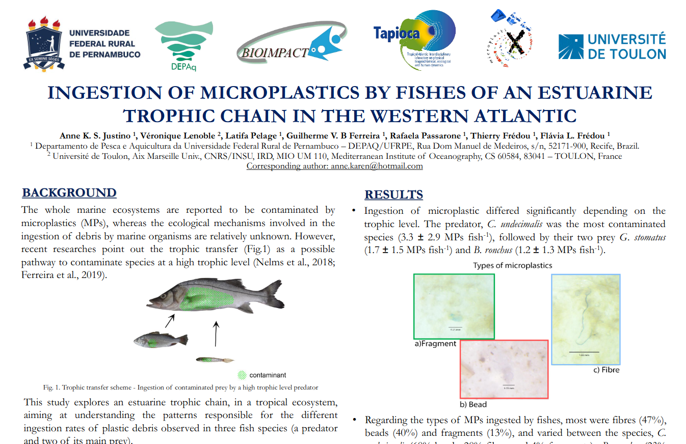 Anne Justino, PhD Student (Bioimpact-UFRPE, LMI TAPIOCA), participated in the  MICRO2020 – Fate and Impacts of Microplastics: Knowledge and Responsibilities