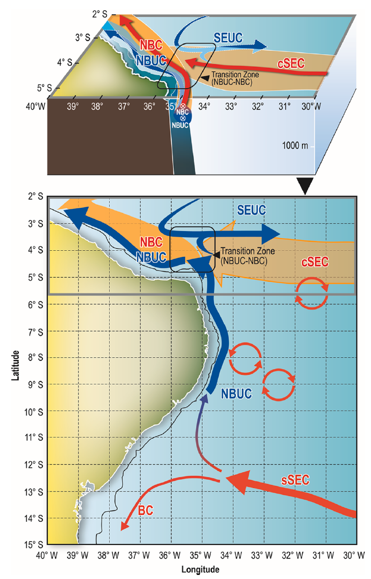 Near-surface western boundary circulation off Northeast Brazil