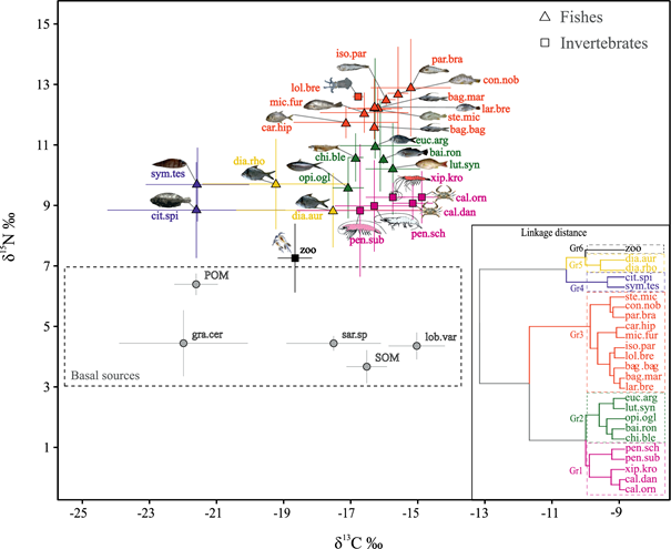 Trophic structure of a nektobenthic community exploited by a multispecific bottom trawling fishery in Northeastern Brazil