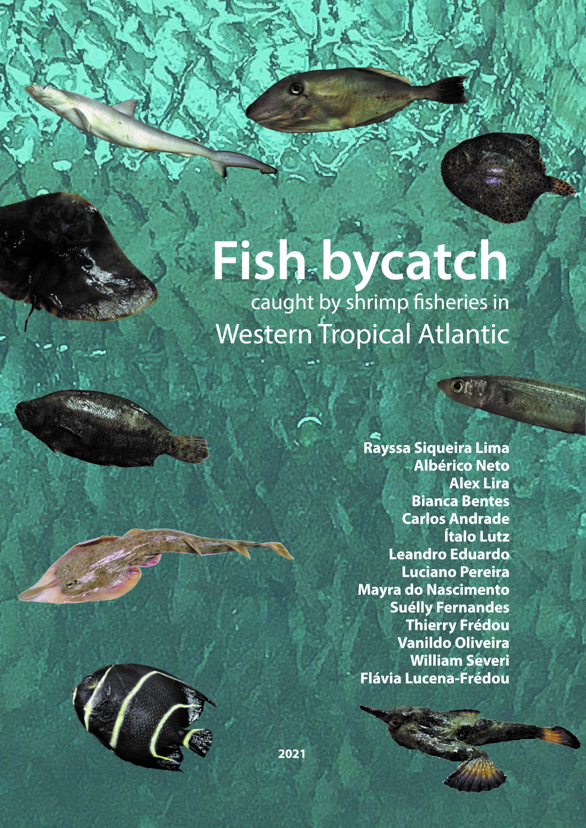 Fish bycatch caught by shrimp fisheries in Western Tropical Atlantic