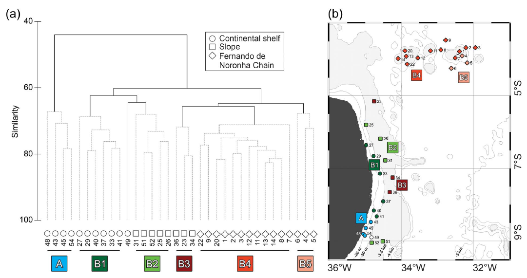 Spatial patterns in planktonic cnidarian distribution in the western boundary current system of the tropical South Atlantic Ocean