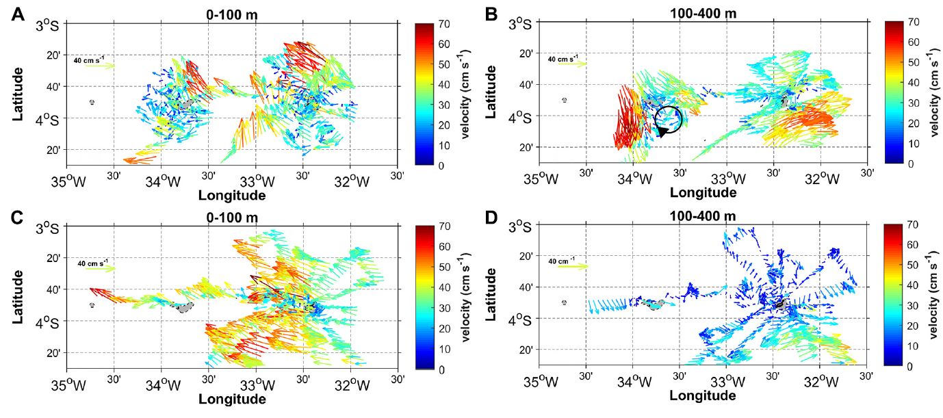 Surface circulation and vertical structure of upper ocean variability around Fernando de Noronha archipelago and Rocas atoll during spring 2015 and fall 2017