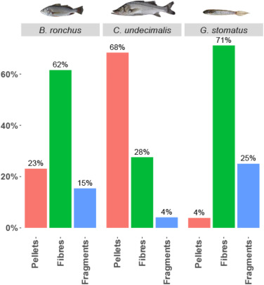 Microplastic contamination in tropical fishes: An assessment of different feeding habits