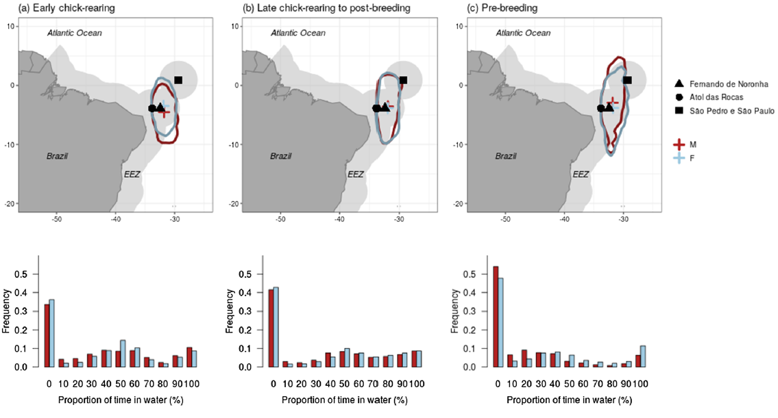 Did the animal move? A cross‑wavelet approach to geolocation data reveals year‑round whereabouts of a resident seabird