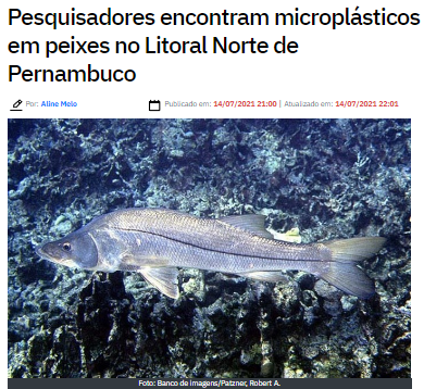 Pesquisa revela presença de microplásticos em peixes da região nordeste do Brasil