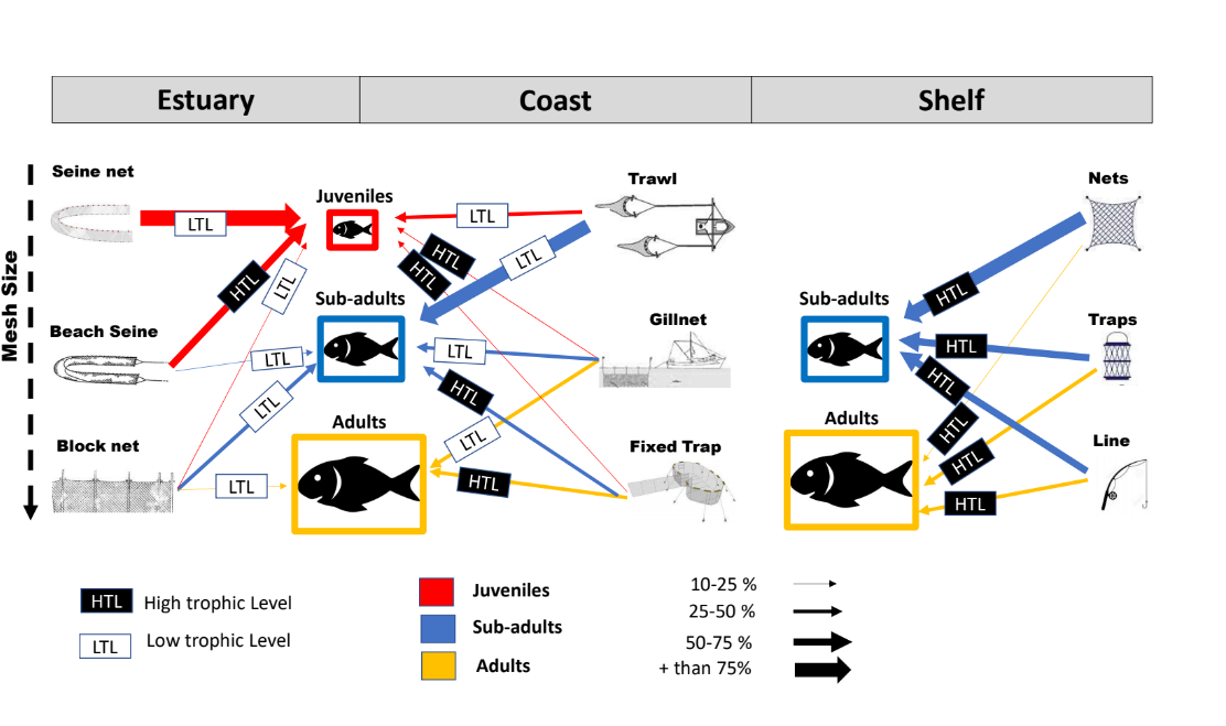 Balanced harvest as a potential management strategy for tropical small-scale fisheries