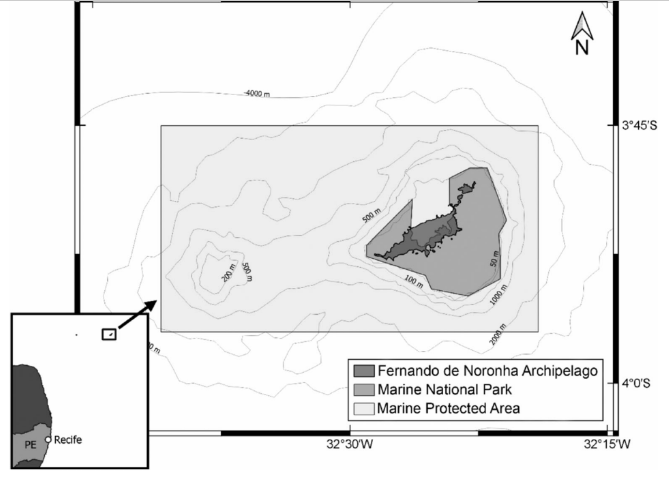 Assessing trophic interactions between pelagic predatory fish by gut content and stable isotopes analysis around Fernando de Noronha Archipelago (Brazil), Equatorial West Atlantic