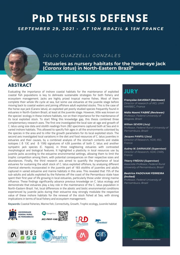 Ophthalmology thesis pdf image