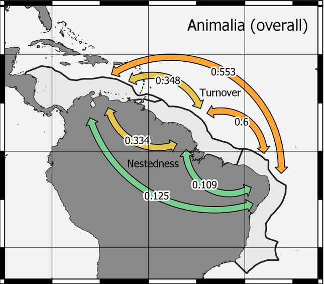 The Amazon River plume, a barrier to animal dispersal in the Western Tropical Atlantic