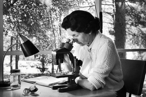 Primavera Silenciosa: conheça o legado de Rachel Carson