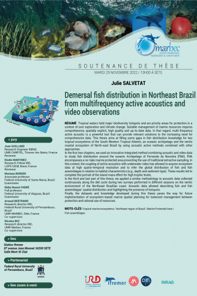 Virtual Thesis Defense: Demersal fish distribution in Northeast Brazil from multifrequency active acoustics and video observations