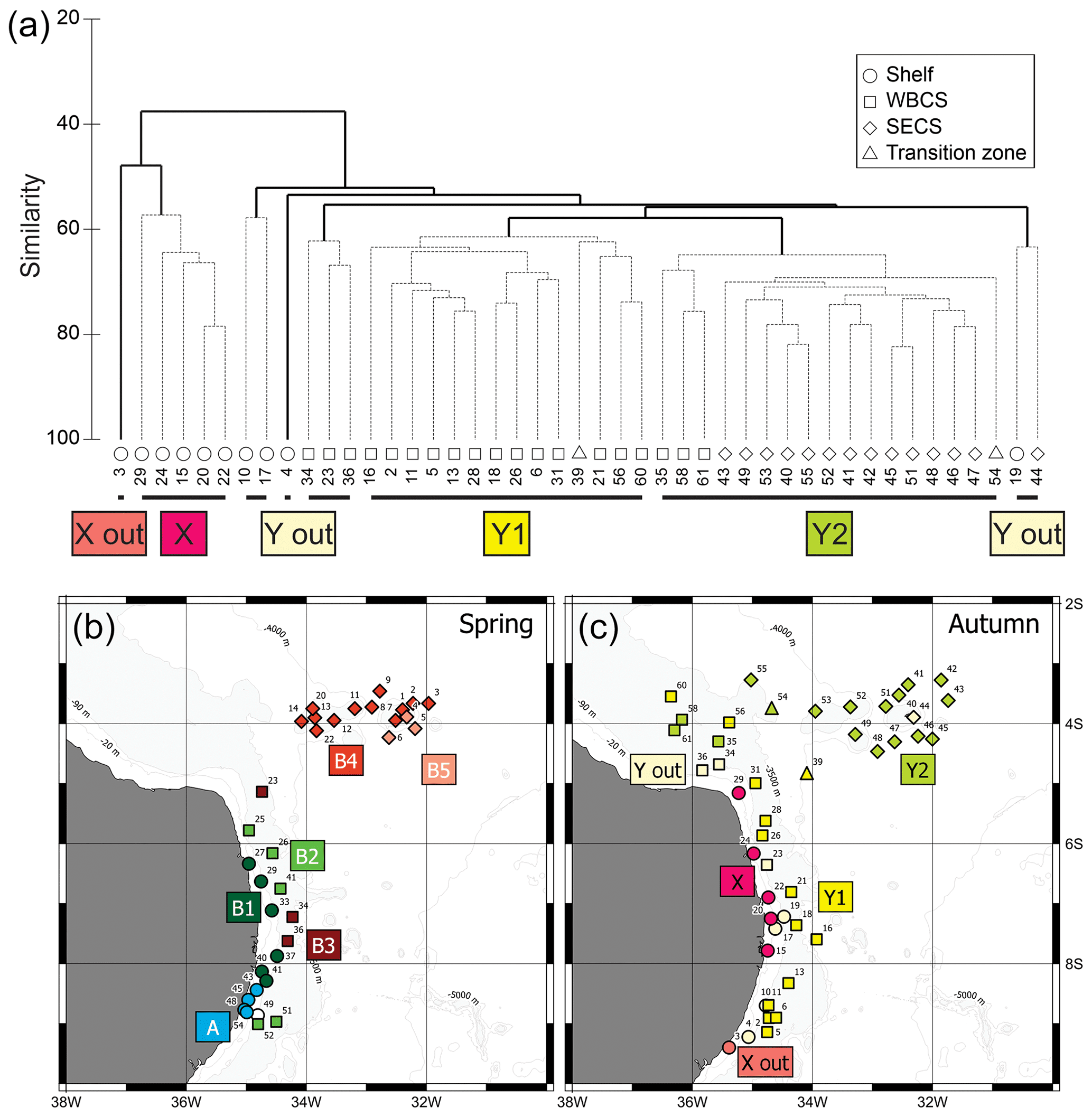 Planktonic cnidarian responses to contrasting thermohaline and circulation seasonal scenarios in a tropical western boundary current system