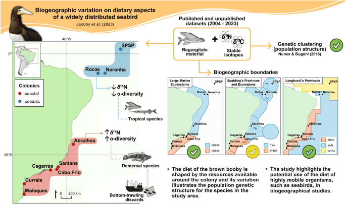 Biogeographic variation on dietary aspects of a widely distributed seabird