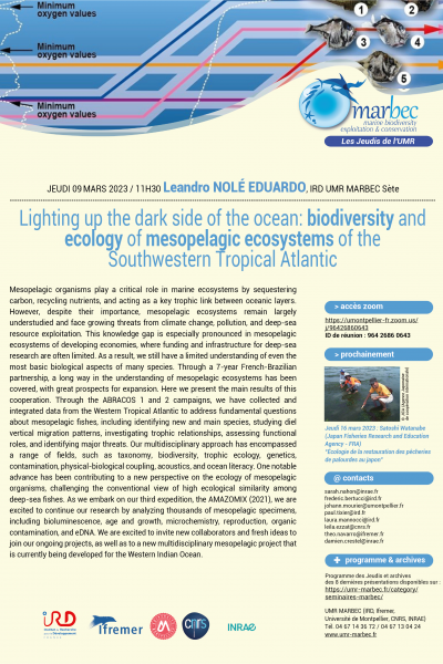 Lighting up the dark side of the ocean: biodiversity and ecology of mesopelagic ecosystems of the Southwestern Tropical Atlantic