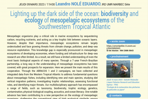 Lighting up the dark side of the ocean: biodiversity and ecology of mesopelagic ecosystems of the Southwestern Tropical Atlantic