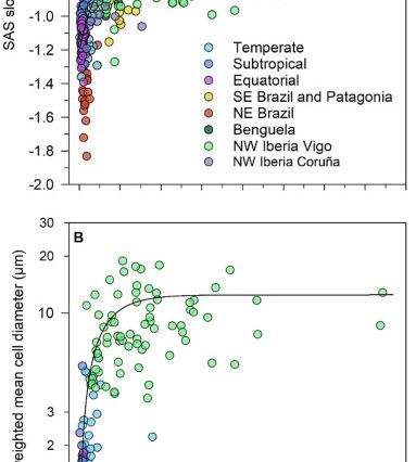 Basin-scale variability in phytoplankton size-abundance spectra across the Atlantic Ocean