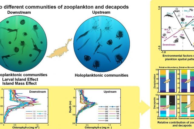 Multiple island effects shape oceanographic processes and zooplankton size spectra off an oceanic archipelago in the Tropical Atlantic