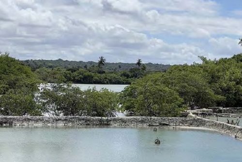 Launch of the EESSEM project (Evaluation of the condition of mangrove socio-ecosystems)