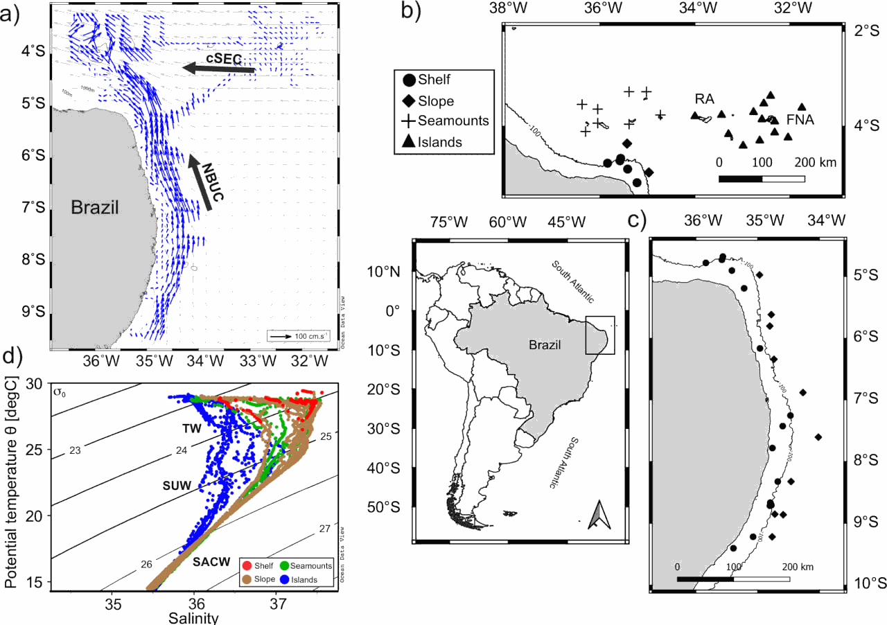 Picoplankton and nanophytoplankton cytometry data collected during the ABRACOS 2 survey performed along the northeast Brazilian continental shelf, slope and open ocean