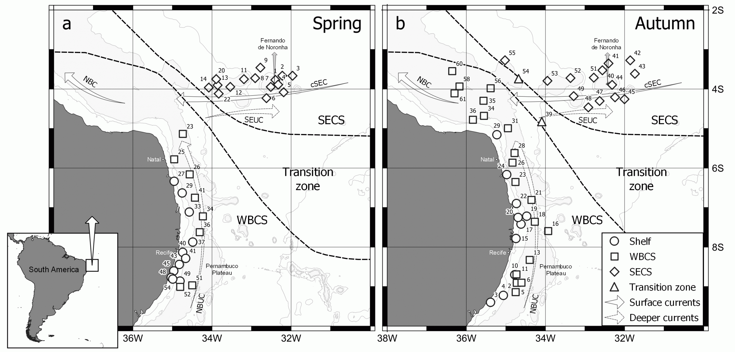 Abundance data of planktonic cnidarians collected during the ABRACOS 1 and 2 surveys performed along the northeast Brazilian continental shelf, slope and open ocean