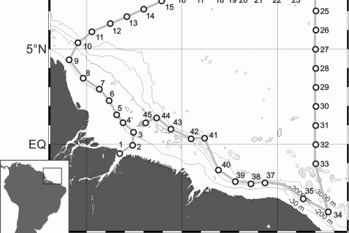 Abundance data of planktonic cnidarians collected during the Camadas Finas III survey performed along the North Brazilian continental shelf and open ocean