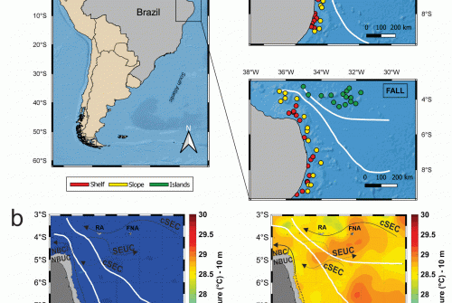 Phytoplankton pigment data collected during the ABRACOS 1 and 2 surveys performed along the northeast Brazilian continental shelf, slope and open ocean