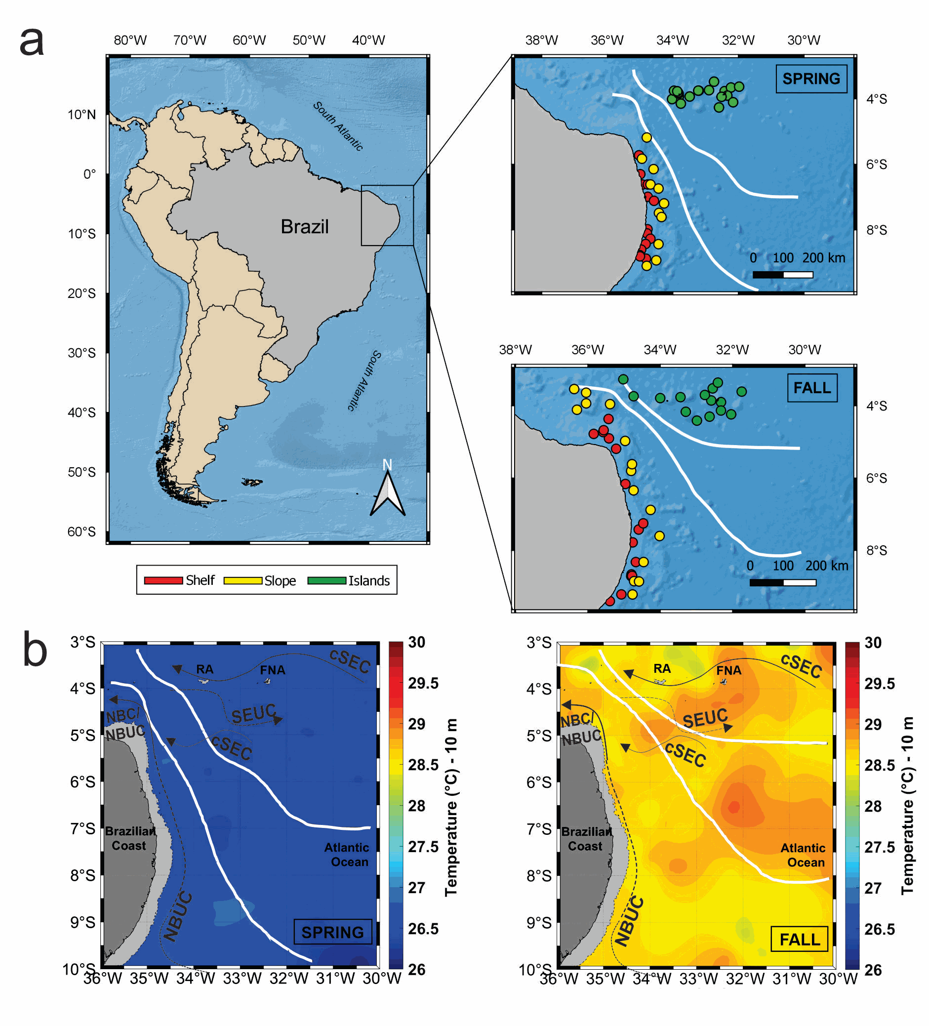 Phytoplankton pigment data collected during the ABRACOS 1 and 2 surveys performed along the northeast Brazilian continental shelf, slope and open ocean
