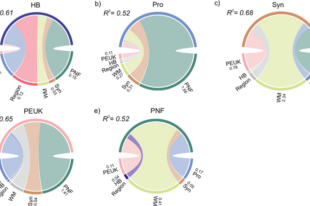 Nutrient availability regulates the microbial biomass structure in marine oligotrophic waters