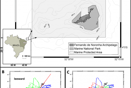 Distribution of pelagic and demersal fish assemblages by video prospection in the archipelago of Fernando de Noronha