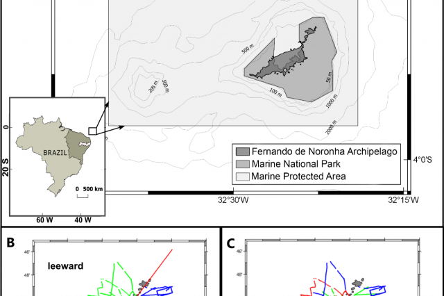 Distribution of pelagic and demersal fish assemblages by video prospection in the archipelago of Fernando de Noronha