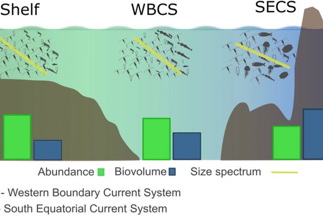 Zooplankton abundance and biovolume size-spectra in the western tropical Atlantic – From the shelf towards complex oceanic current systems