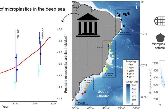 Lanternfish as bioindicator of microplastics in the deep sea: A spatiotemporal analysis using museum specimens