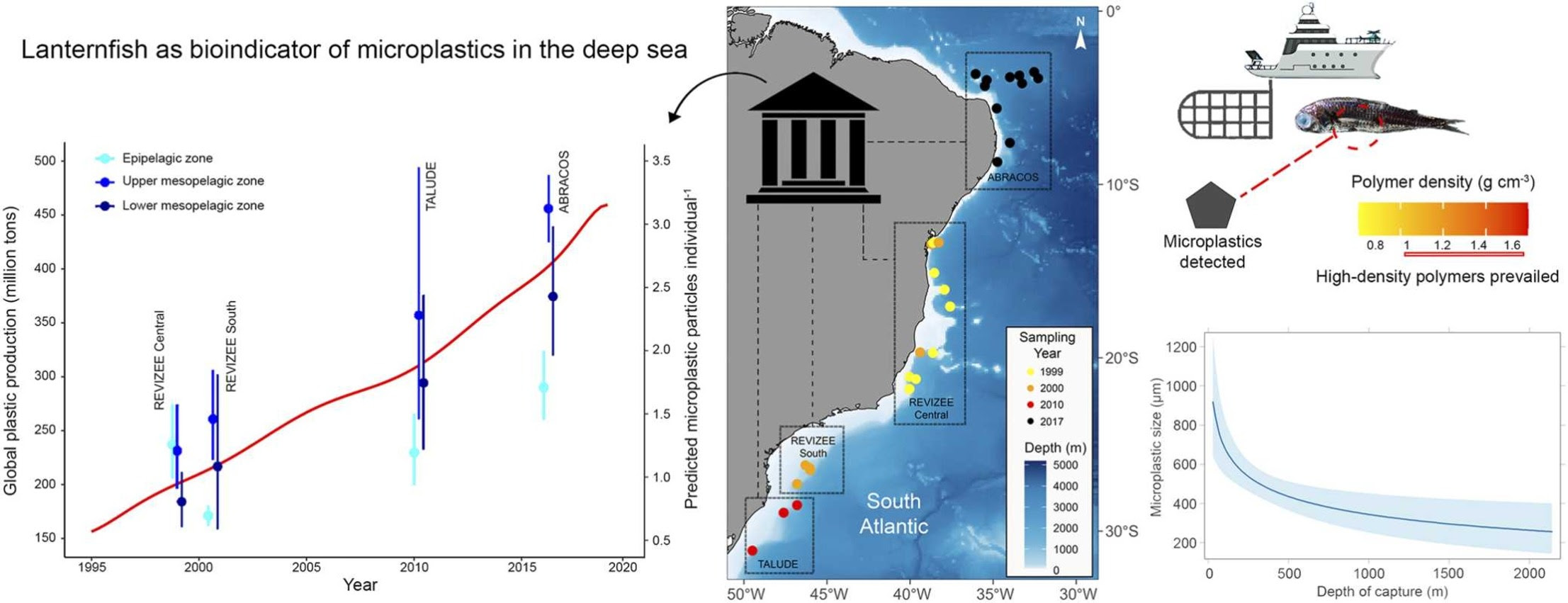 Lanternfish as bioindicator of microplastics in the deep sea: A spatiotemporal analysis using museum specimens