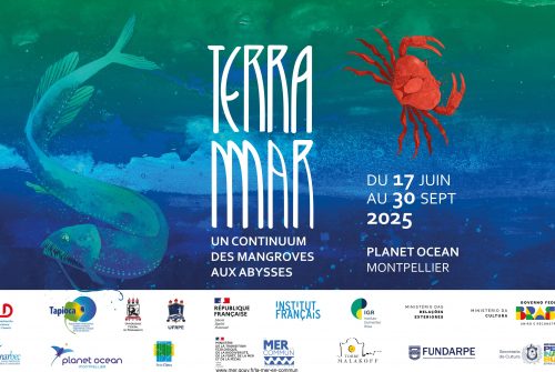 Terra-Mar: Un voyage des mangroves aux abysses ✹ Uma viagem dos manguezais às profundezas ✹ A journey from mangroves to the deep sea
