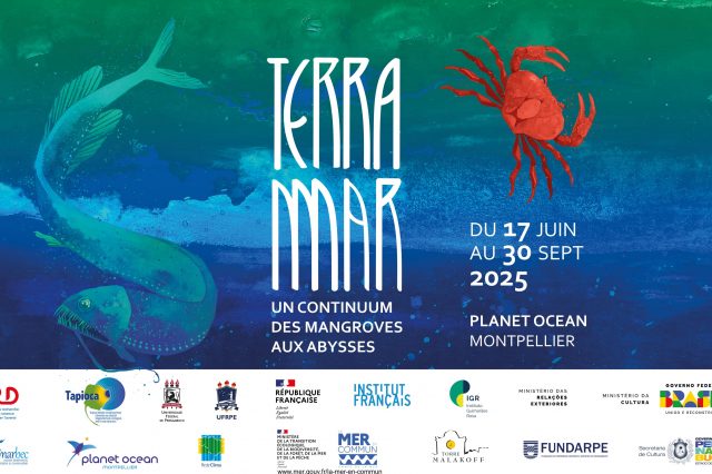 Terra-Mar: Un voyage des mangroves aux abysses ✹ Uma viagem dos manguezais às profundezas ✹ A journey from mangroves to the deep sea