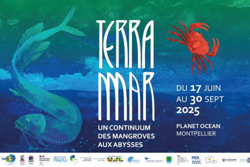 Terra-Mar: Un voyage des mangroves aux abysses ✹ Uma viagem dos manguezais às profundezas ✹ A journey from mangroves to the deep sea