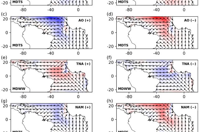Climate Variability and Atlantic Surface Gravity Wave Variability Based on Reanalysis Data