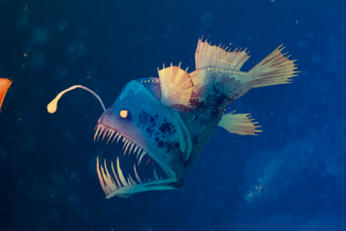 Dive into Marine Biodiversity: Terra Mar Exhibition and TAPIOCA Researcher’s Conference Arrive in France