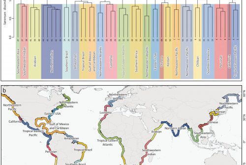 Global Coastal Biogeographic Boundaries: Unveiling the Nature of Processes Shaping the Distribution of Marine Biodiversity