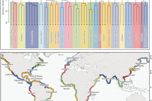 Global Coastal Biogeographic Boundaries: Unveiling the Nature of Processes Shaping the Distribution of Marine Biodiversity