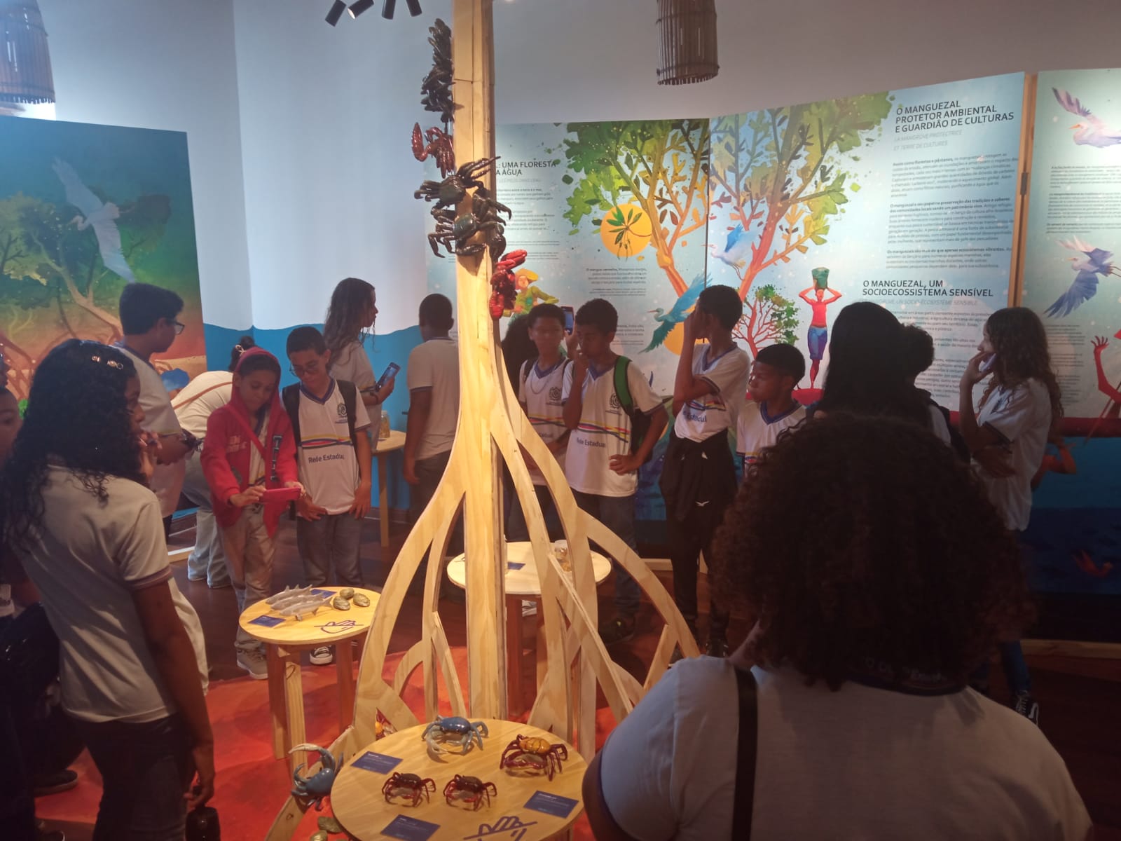 Terra-Mar: French-Brazilian Exhibition Concludes season in Recife After establishing dialogue between Science and Art