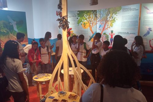 Terra-Mar: exposição franco-brasileira encerra temporada no Recife após marcar diálogo entre ciência e arte