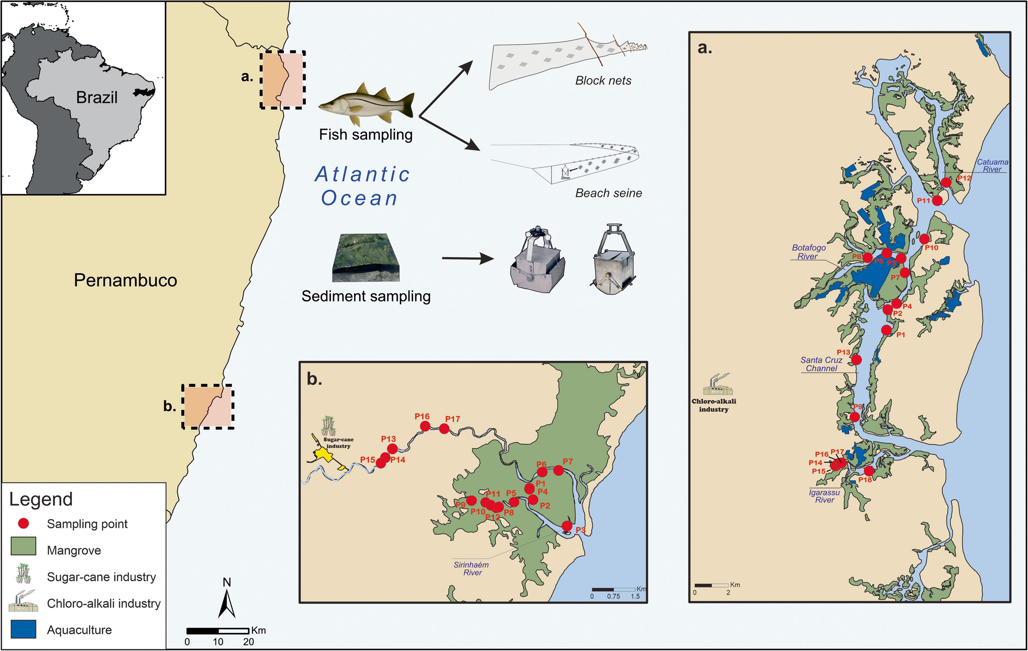 Biogeochemical Assessment of Trace Metal and Mercury Pollution in Two Tropical Estuaries Impacted by Multiple Pollution Sources