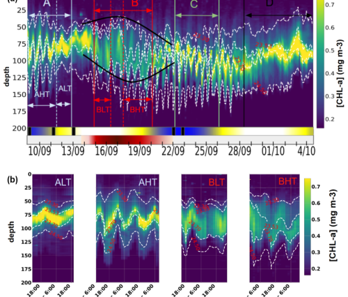 Impact of internal tides on chlorophyll a distribution and primary production off the Amazon shelf from glider measurements and satellite observations